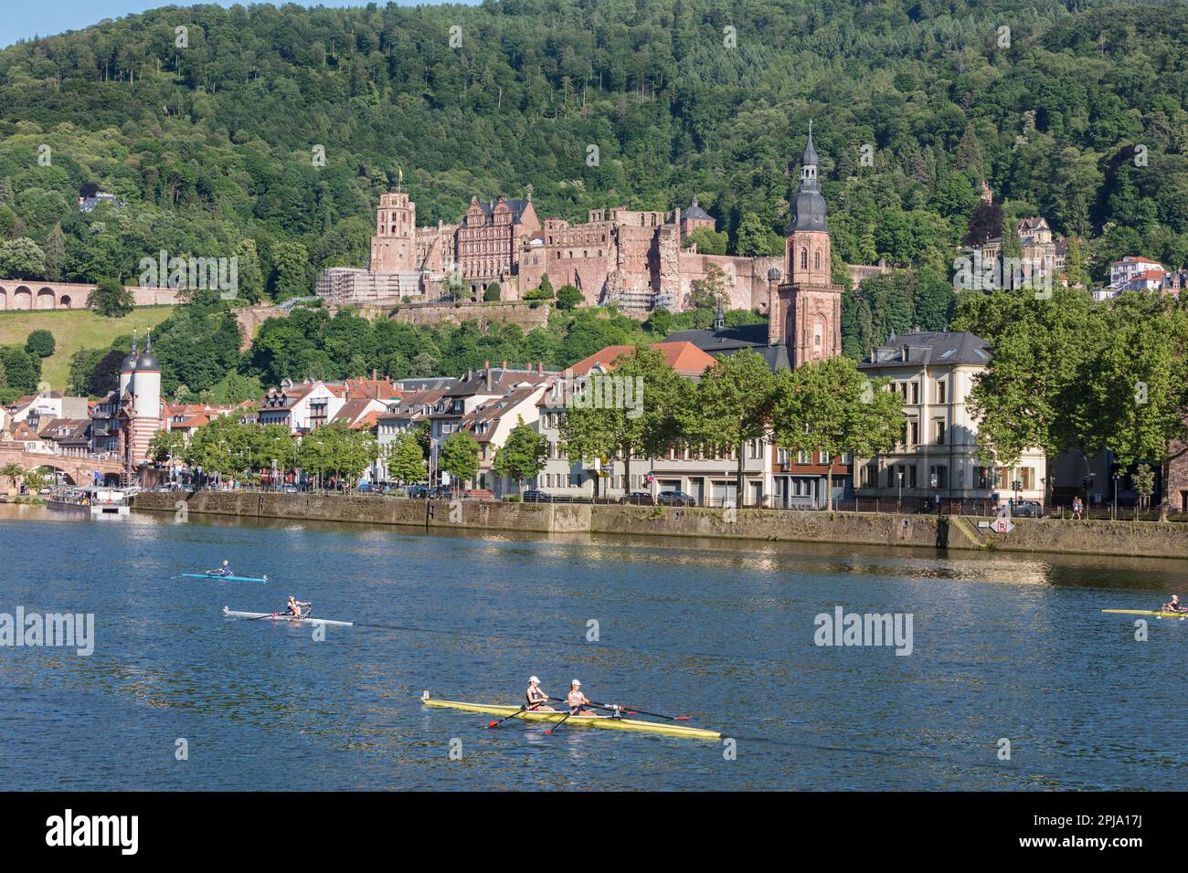 Hever Castle Rowing Rowing boat competition or regatta on the River Neckar below historic ...