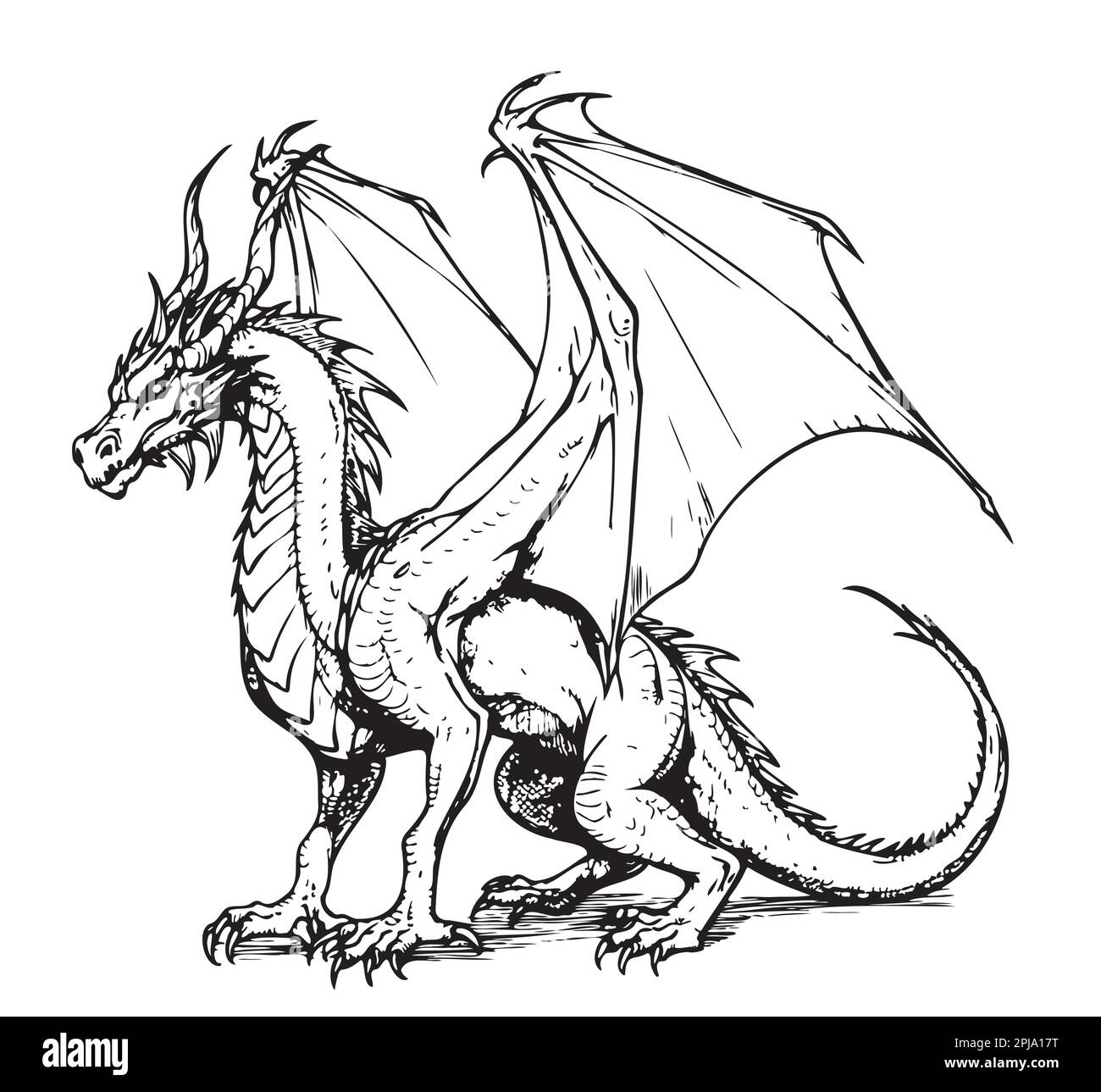 Fantasy dragon sitting sketch illustration Myths and legends Stock Vector