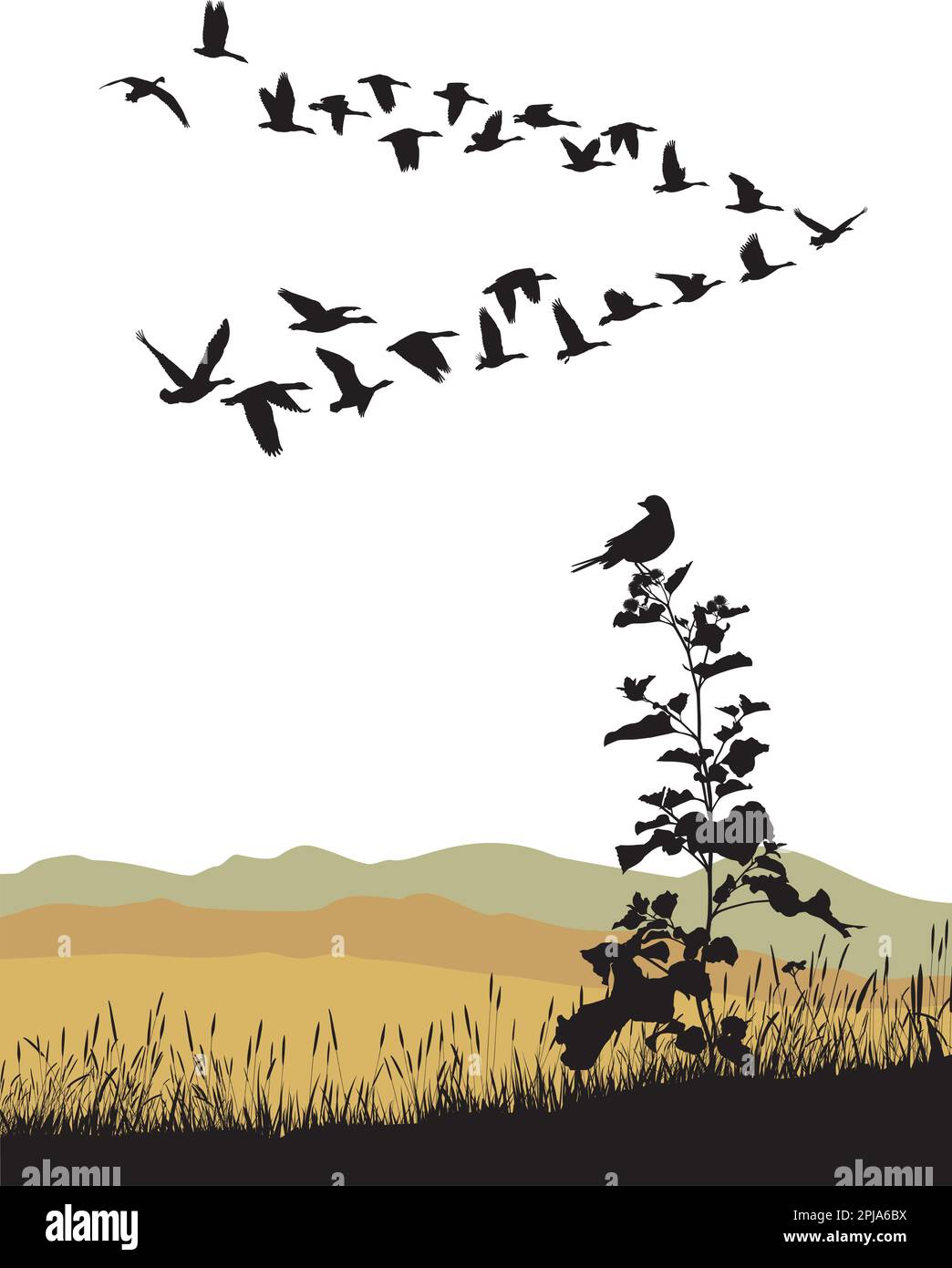 Seasonal migration of wild geese Stock Vector