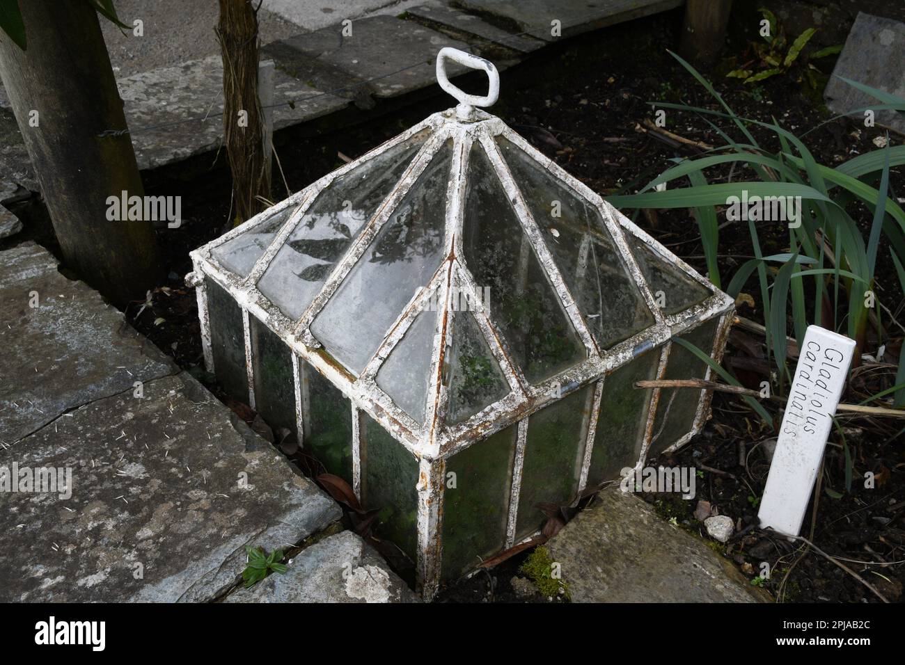 Glass garden cloche hires stock photography and images Alamy