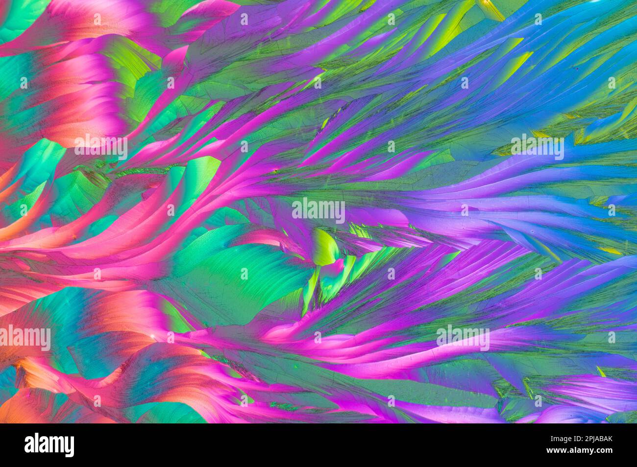 A mixture of beta alanine and Lglutamine amino acids in cross