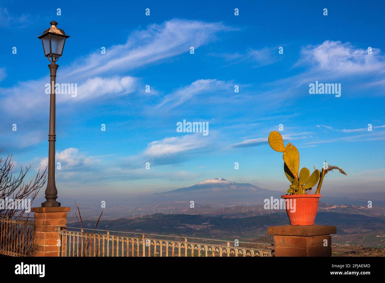 Pot of prickly pear plant and volcano Etna covered with snow in background. Aidone, Sicily Stock Photo