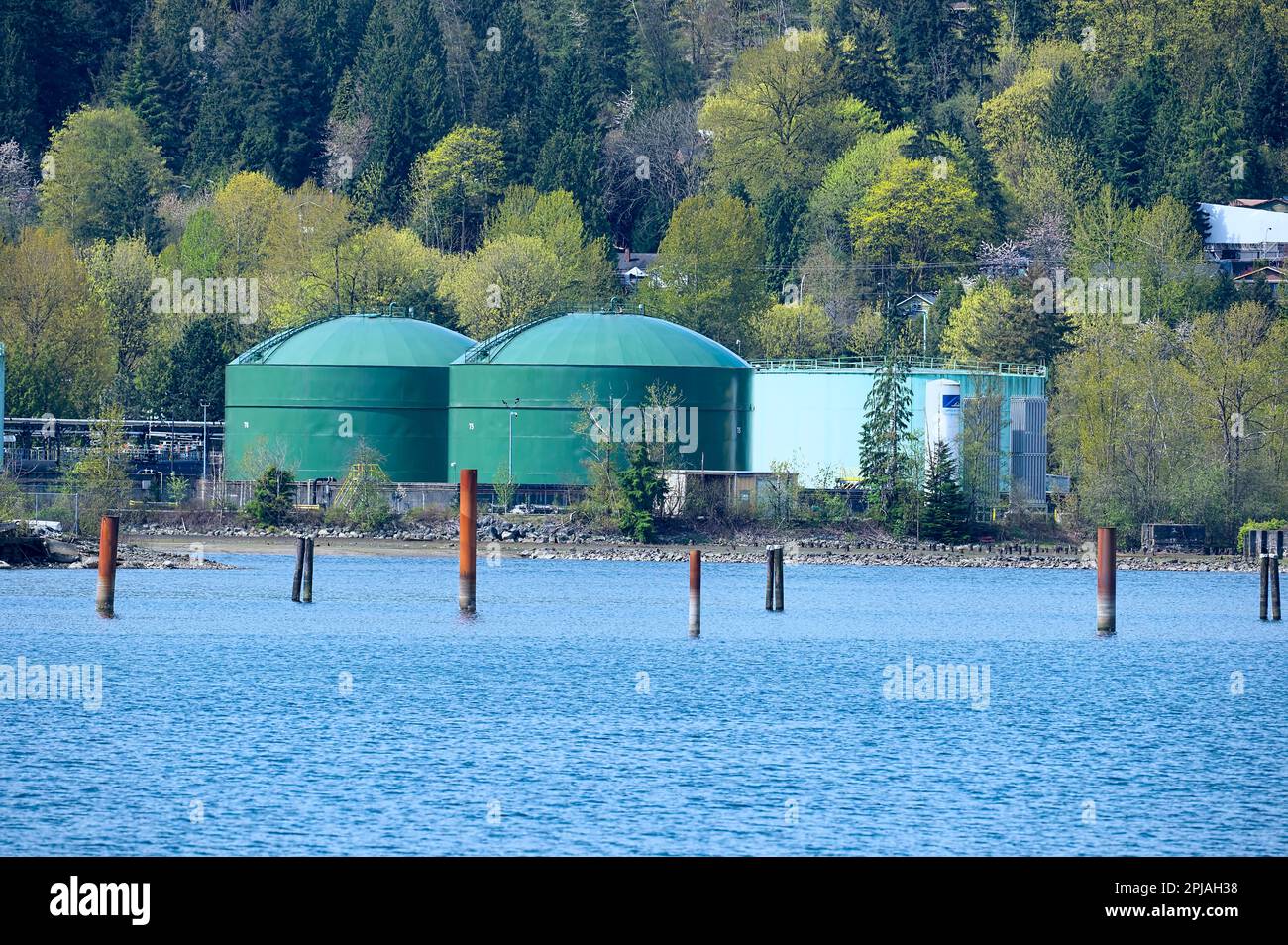 Green storage bins for storing oil for export - Pacific Coast Terminals, Port Moody, B. C., Canada. Stock Photo