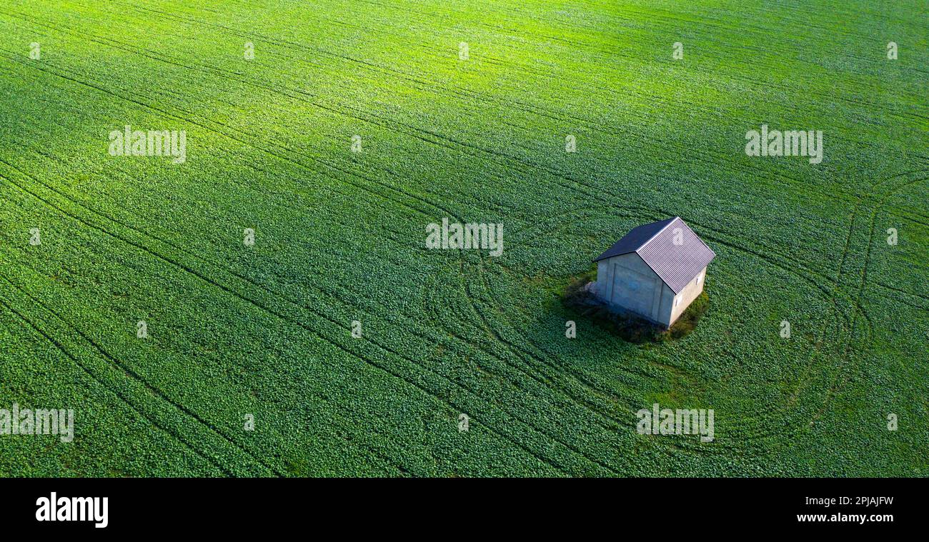 Find serenity in nature with this image of a solitary house on a green ...