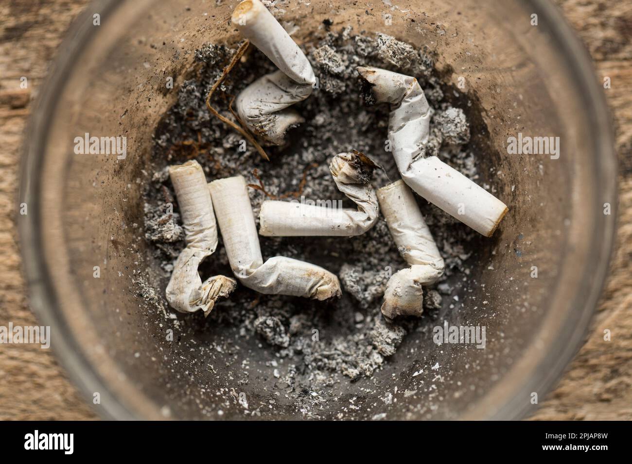 An ashtray with smoked roll up cigarette ends fitted with filters. England UK GB Stock Photo