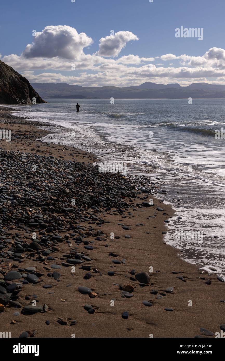 Angler in the surf at Criccieth beach, North wales coast Stock Photo Alamy