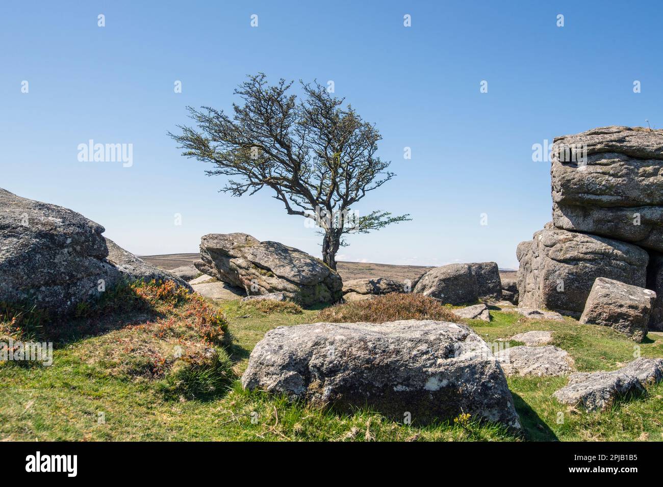 Emsworthy Rocks in Dartmoor National Park, Devon, England, UK Stock ...