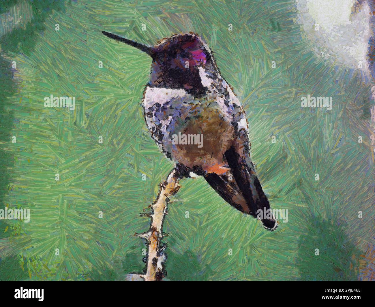 This handpainted artwork perfect for adding a touch of adventure to