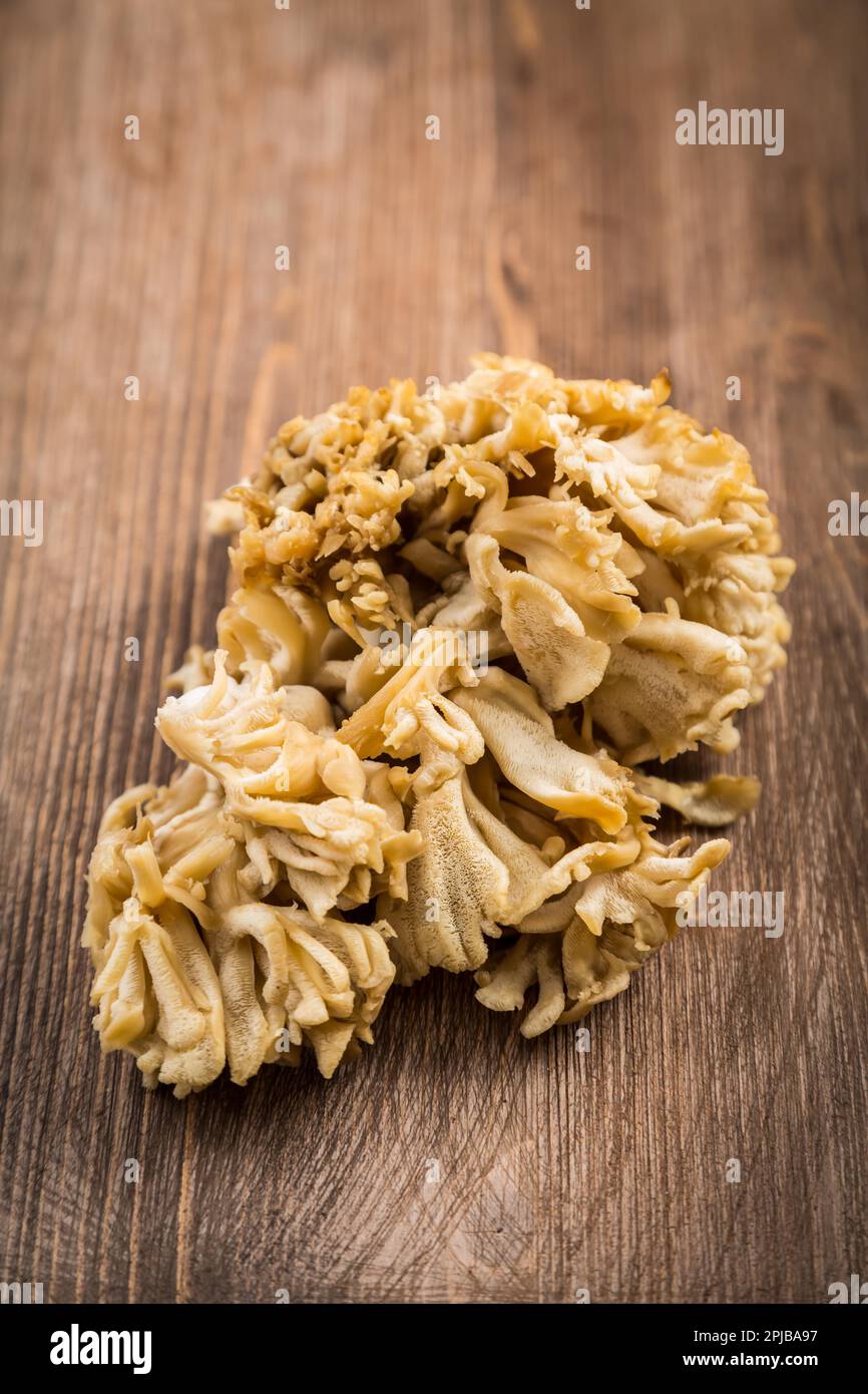 Maitake Hen of the woods, edible mushroom Stock Photo Alamy