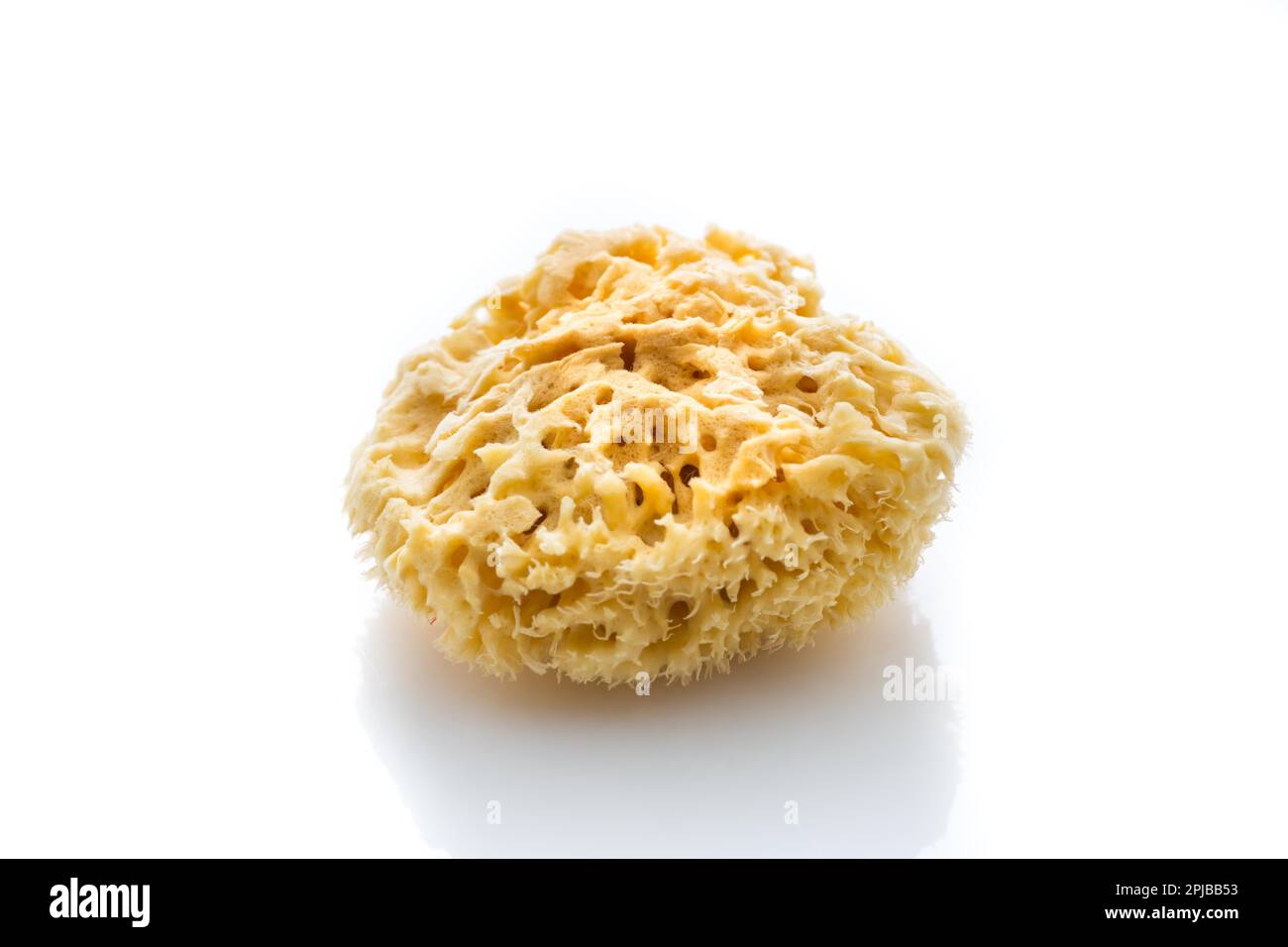 Natural bath sponge isolated on white background Stock Photo