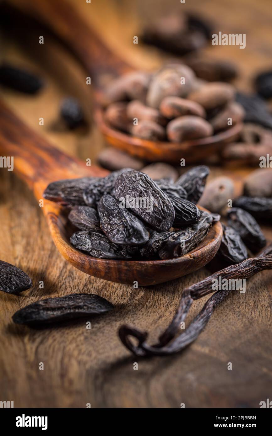 Fragrant tonka and cocoa beans with vanilla beans for baking and ...