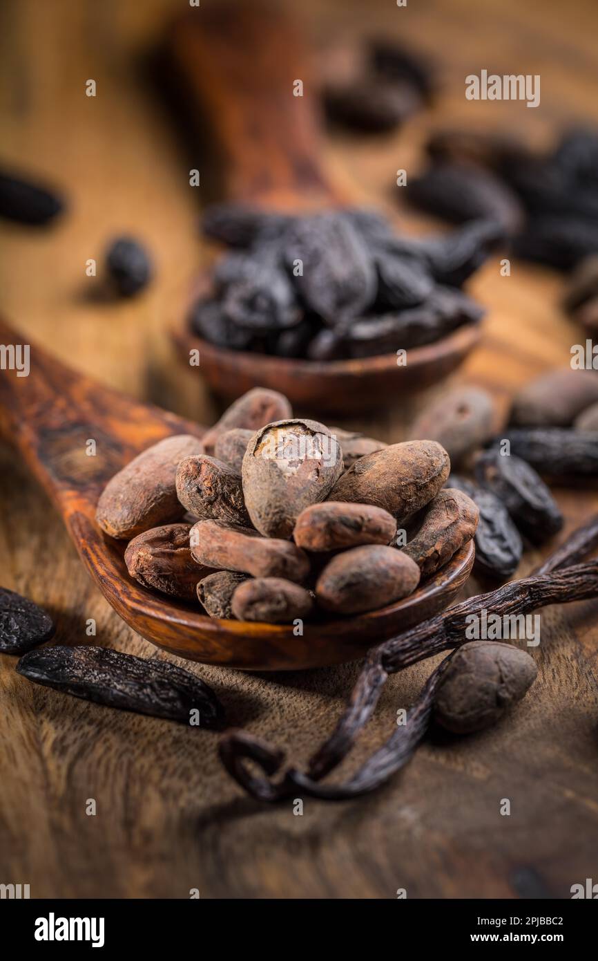 Fragrant tonka and cocoa beans with vanilla beans for baking and
