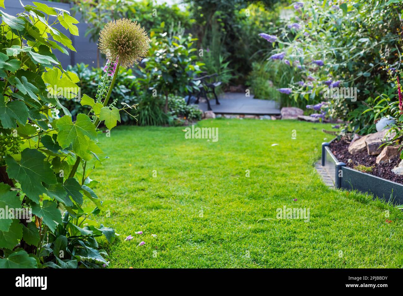 Landscape view of beautiful garden with freshly mowed lawn and flowerbed. Soft focus on foreground plants Stock Photo
