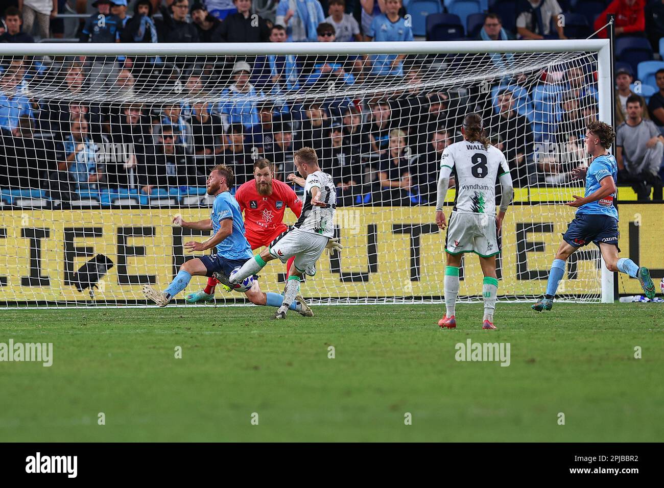 1st April 2023; Allianz Stadium, Sydney, NSW, Australia ALeague