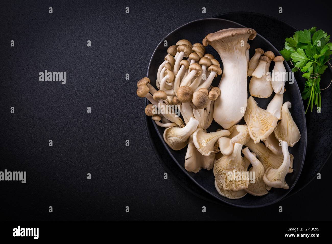 Assortment of edible mushrooms rich in umami tasting on black