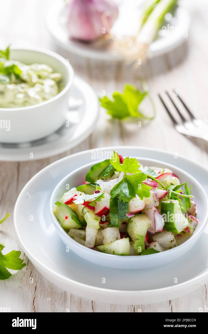 Spring salad with radish, cucumber and avocado. With avocado dop and scallions Stock Photo