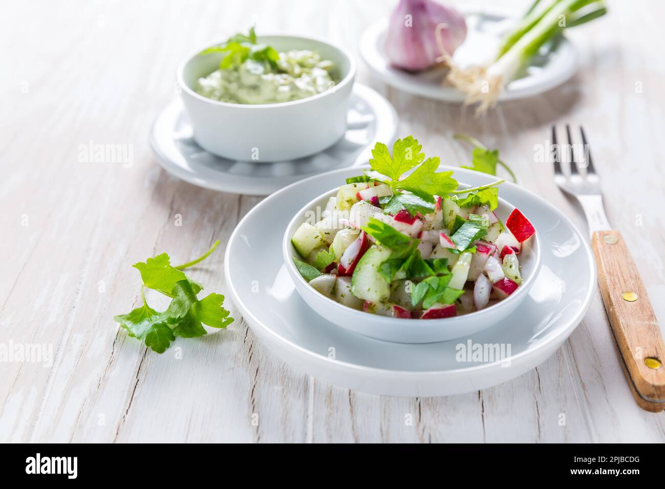 Spring salad with radish, cucumber and avocado. With avocado dip and scallions Stock Photo