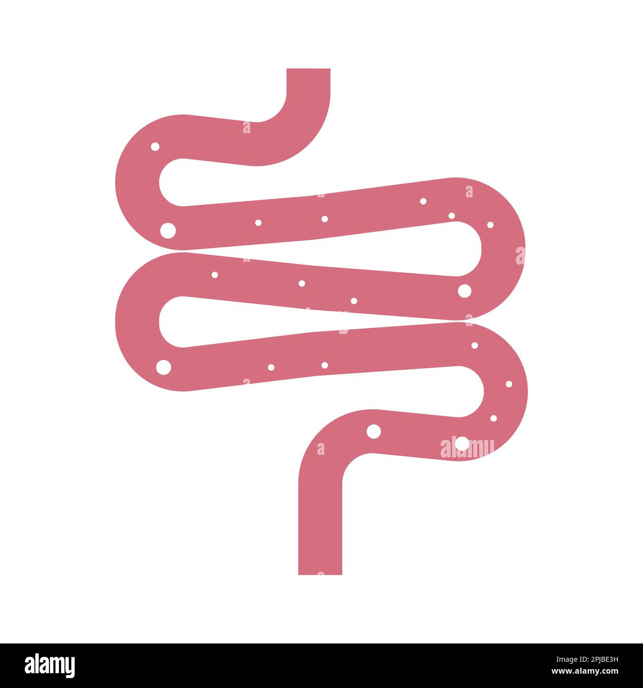intestine simple icon vector illustration symbol design Stock Photo - Alamy
