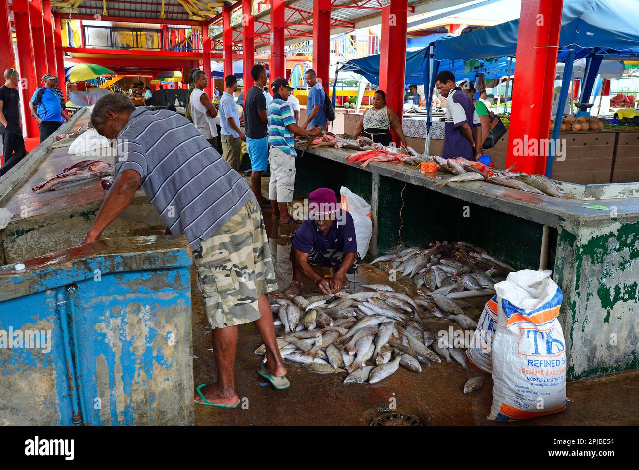 Freshly caught fish for sale, fish market at Sir Selwyn SelwynClarke