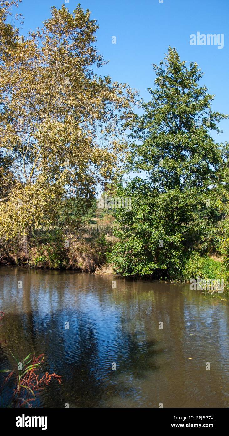 Wuemme, Lower Saxony, Germany Stock Photo