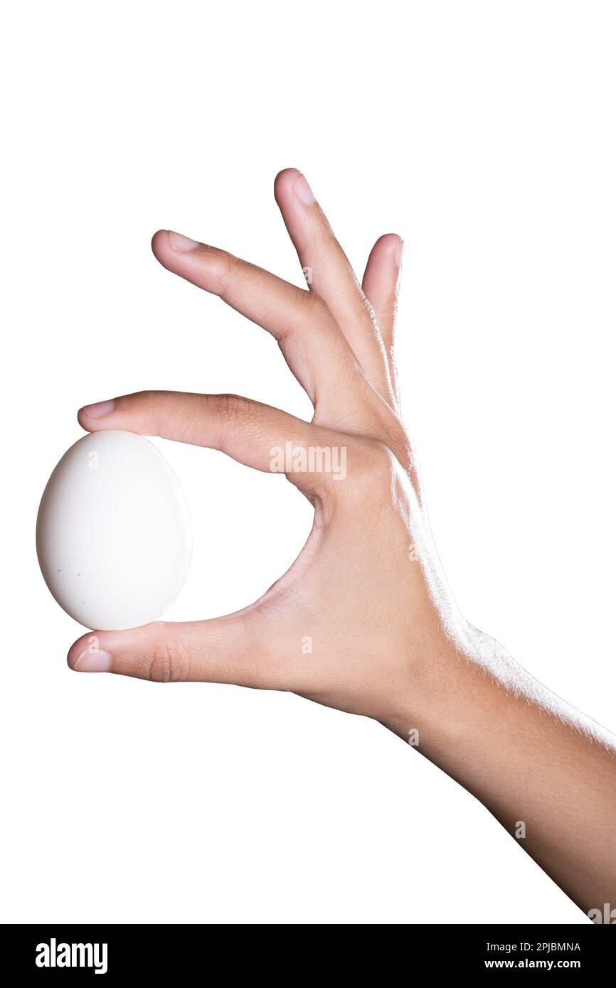 Egg in hand on white background with clipping path Stock Photo