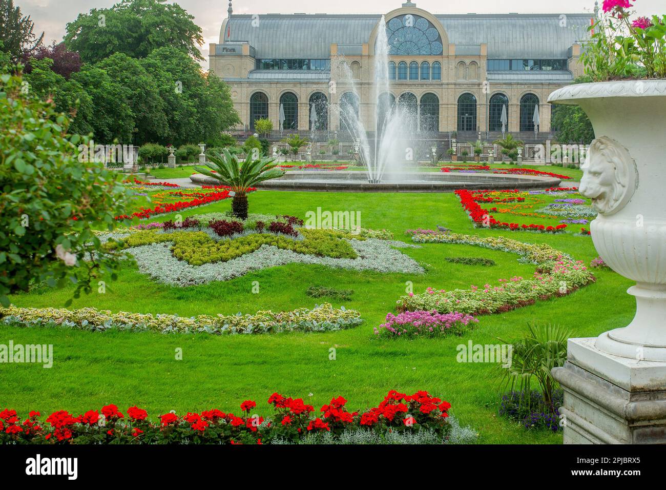 Idyllic main view  on Botanical garden of Cologne - Flora, May 29 with awe fountain and flowerbeds and palm tree and green grass Stock Photo