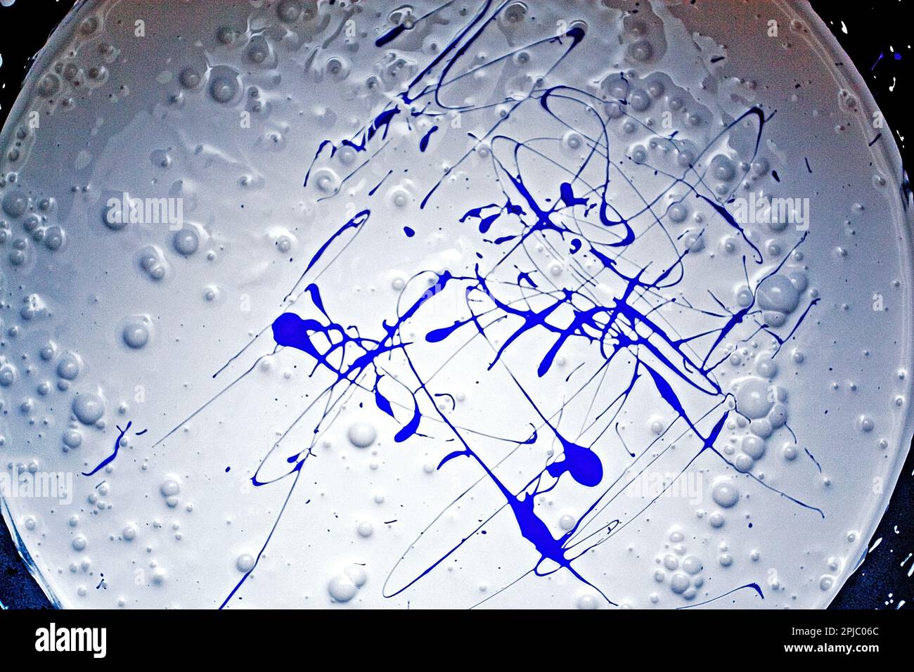 stir white paint with a violet pigment for painting walls Stock Photo