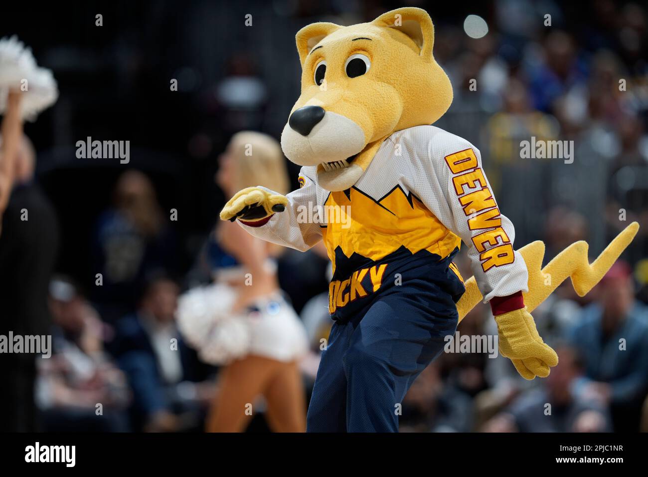 Denver Nuggets mascot Rocky the mountain lion in the second half of an