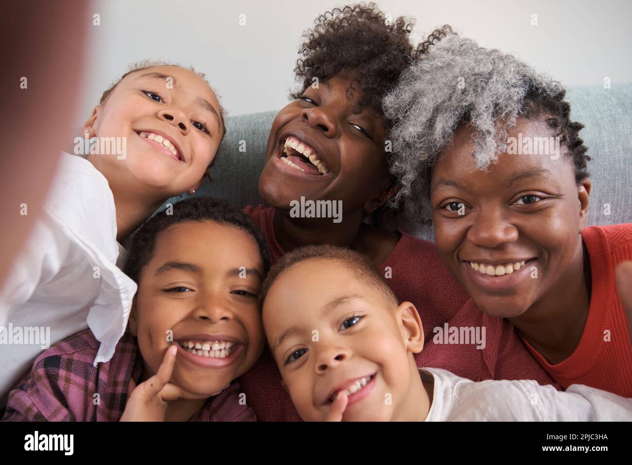african american extended family