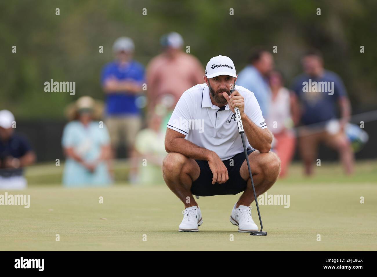 Captain Dustin Johnson of 4Aces GC reads his putt on the fourth green