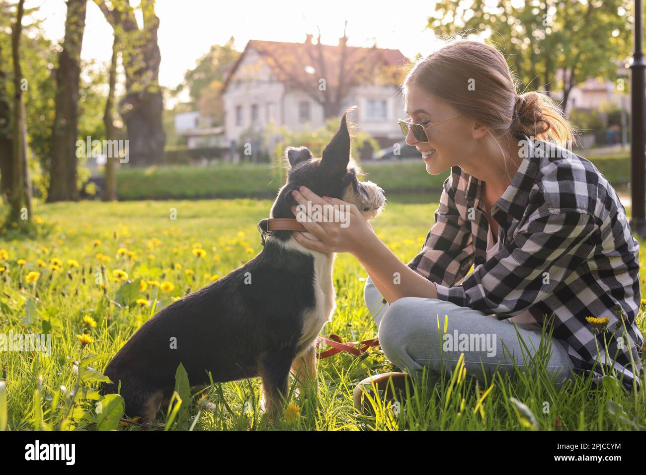 Teenage girl with her cute dog resting on green grass in park Stock ...