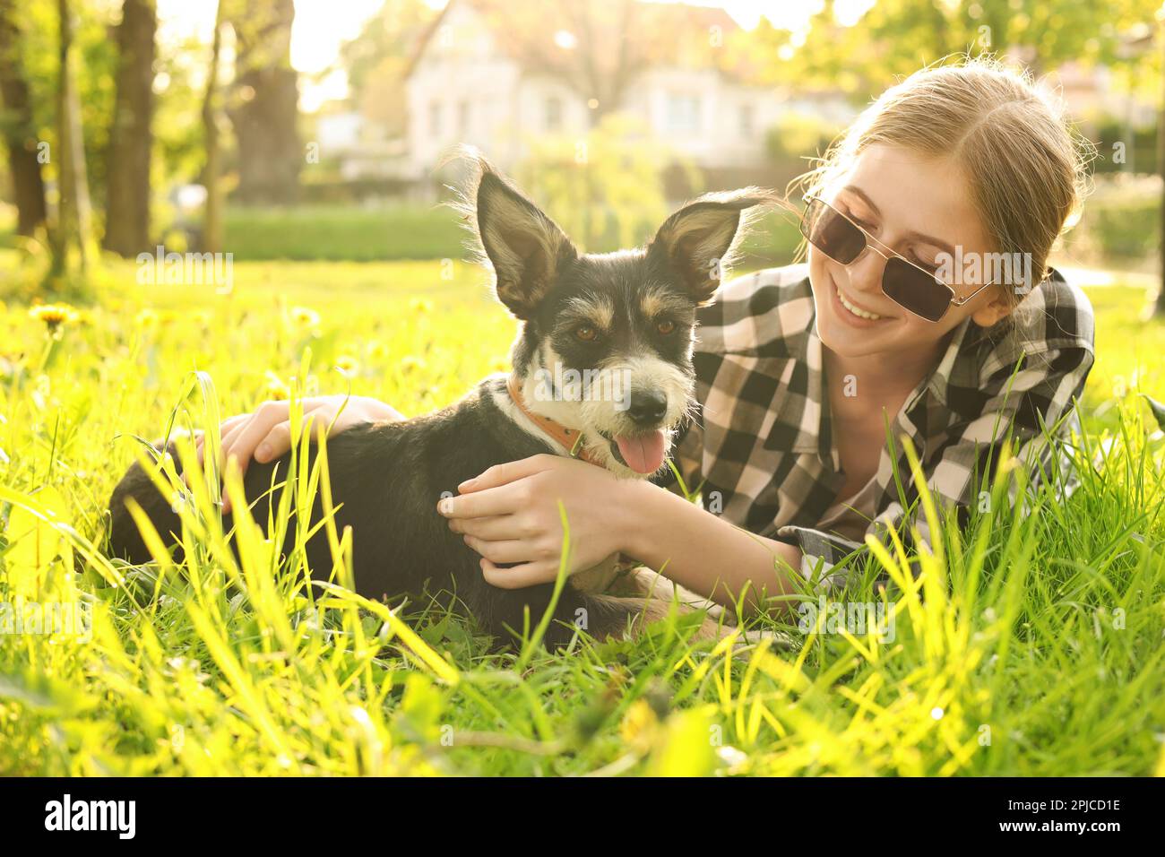 Teenage girl with her cute dog resting on green grass in park Stock ...