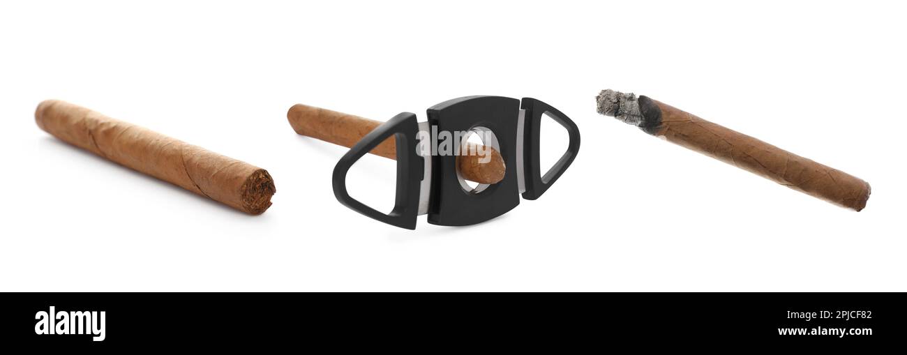 Set with cigars wrapped in tobacco leaves and guillotine cutter on