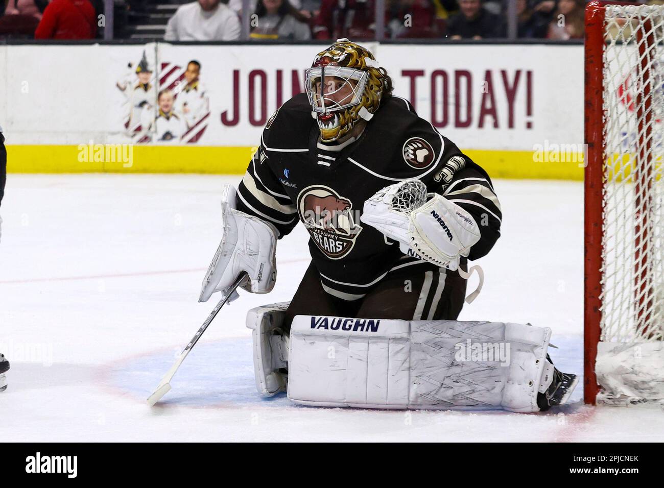 CLEVELAND, OH - APRIL 30: Cleveland Monsters goalie Jet Greaves (31) in  goal during the third period