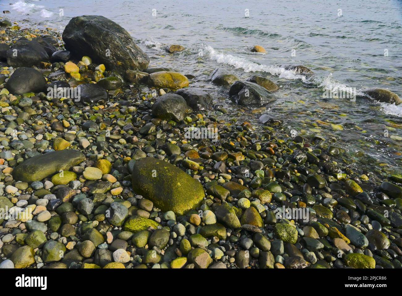 Pebble beach,  B.C Canada. Stock Photo