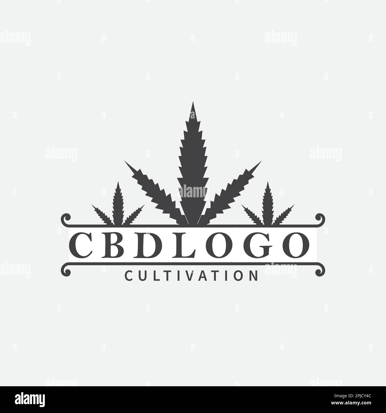 Vintage Cannabis Marijuana Hemp Rectangle Stamp Label Logo Design Stock ...