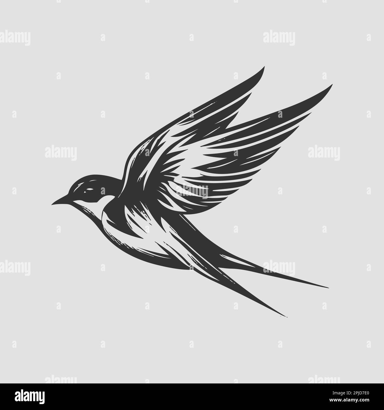 swallow bird illustration vector. retro bird style illustration. bird