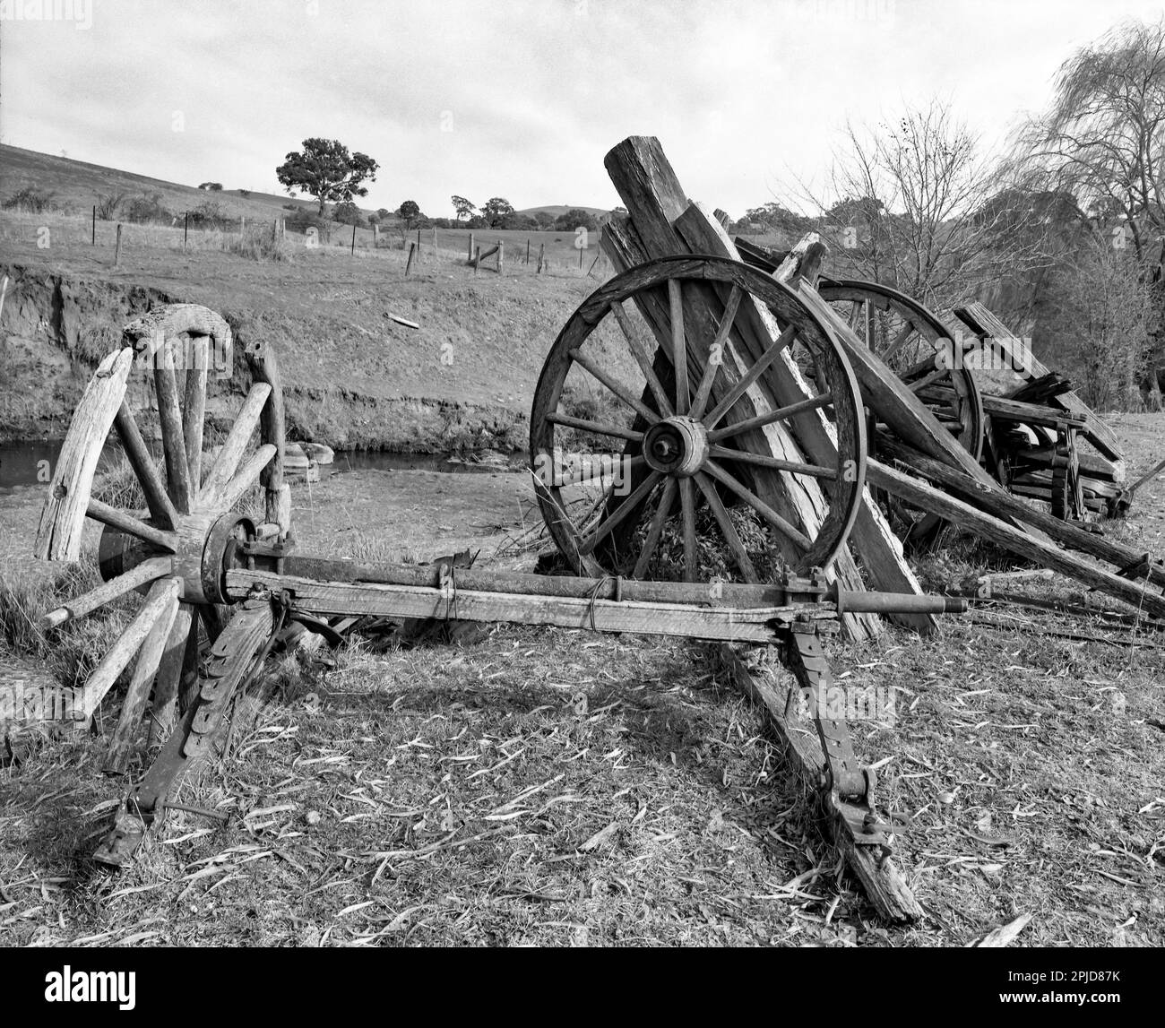 A 1980 black and white, medium format photograph of timber wagon and