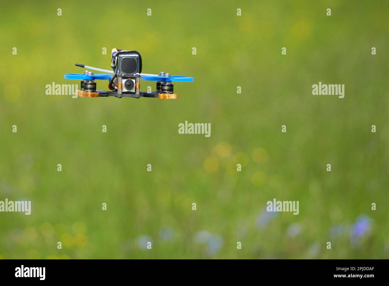 Small racing copter also drone with blue propellers and black battery over a green meadow with colorful flowers. Front view. Depth of field. Stock Photo