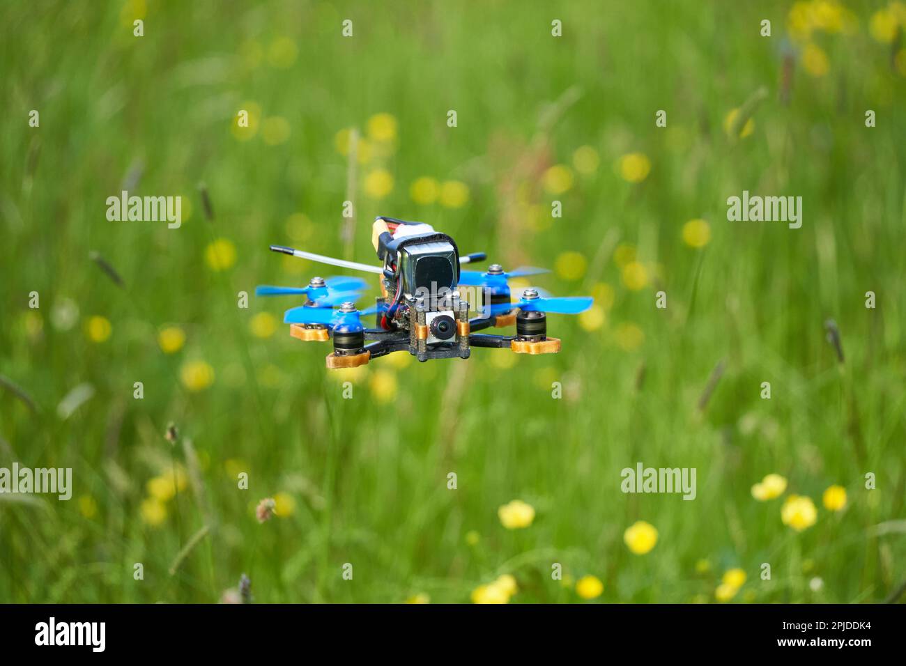 Small racing drone floats calmly over a beautiful flower meadow. View diagonally from the front. Depth of field. Stock Photo