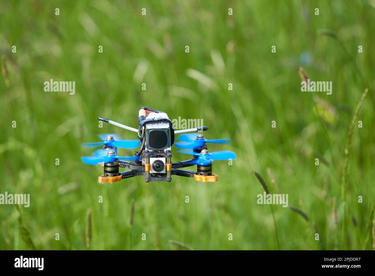 Small racing drone also quad copter with blue propellers and a big battery, floats calmly over a beautiful meadow. View directly from the front. Depth Stock Photo