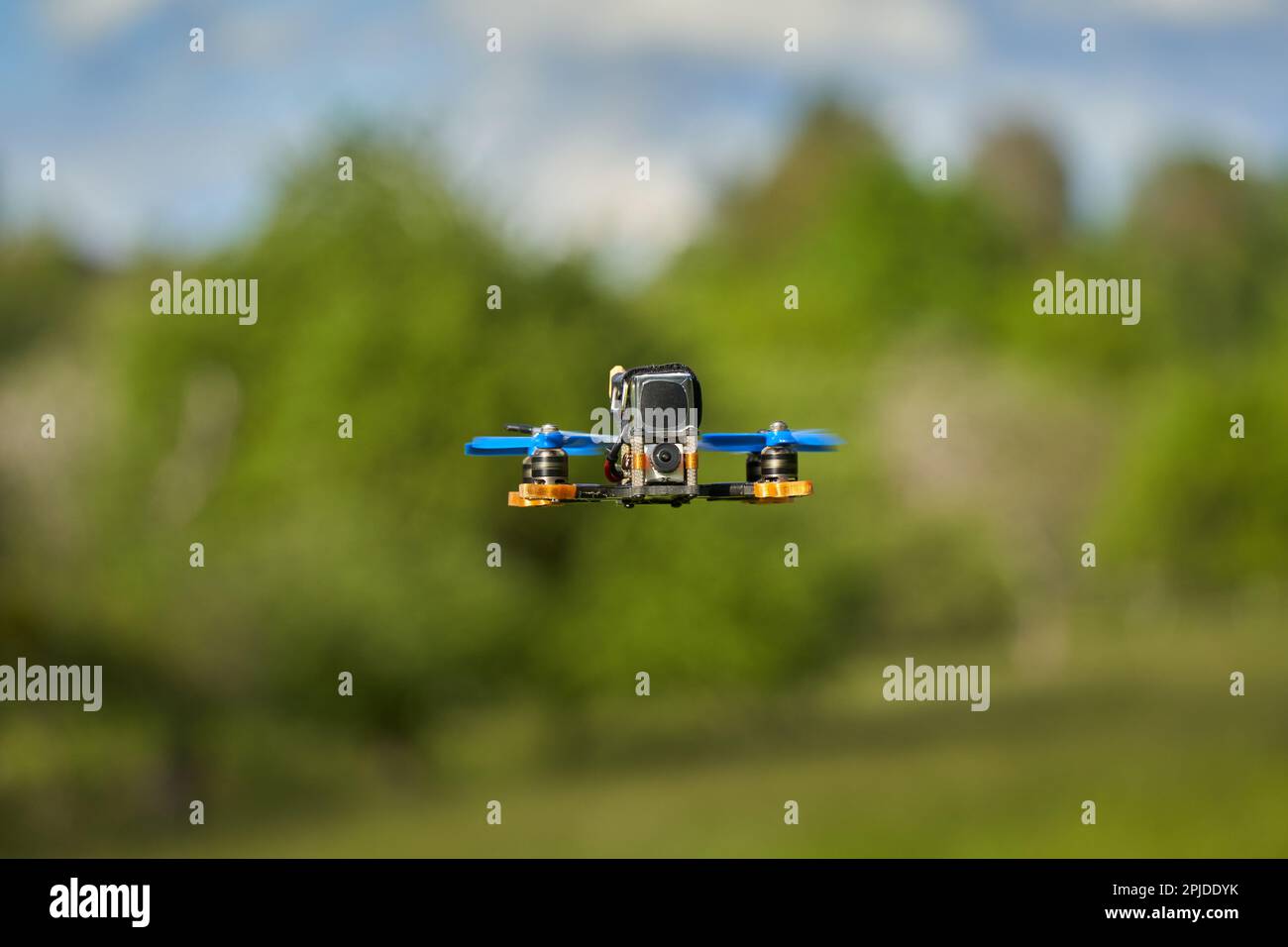Tiny drone also racing copter with blue propeller over a green meadow. Trees and blue sky in the background. Stock Photo