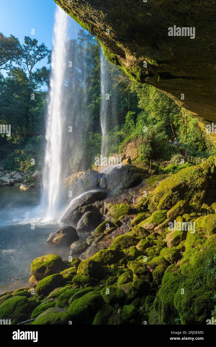 Vertical landscape of Misol Ha waterfall at sunset, Chiapas, Mexico. Stock Photo
