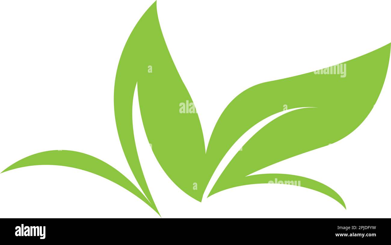leaf logo icon vektor illustration design Stock Vector Image & Art - Alamy