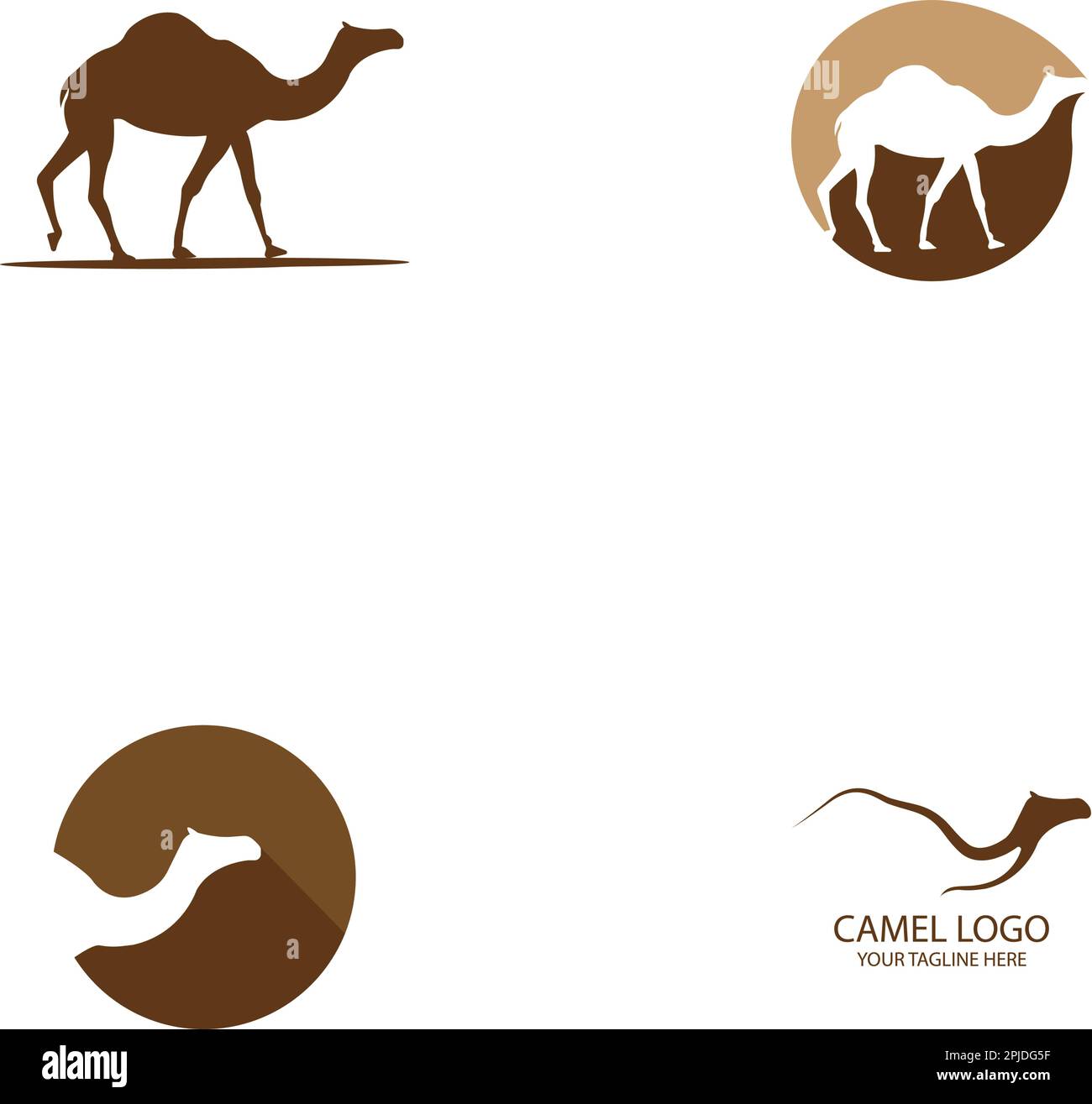 camel logo vector illustration design Stock Vector
