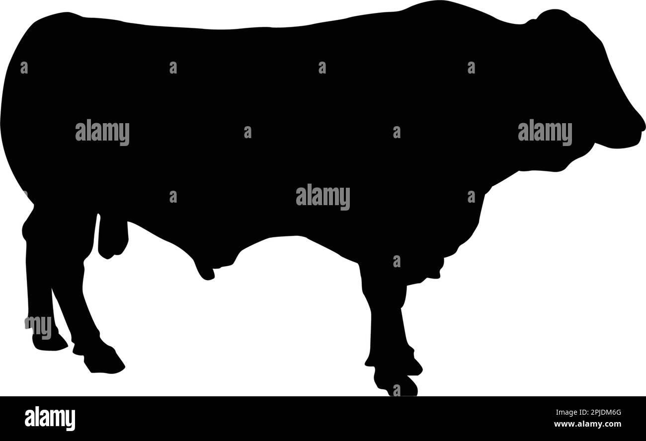 black cow logo vektor template Stock Vector Image & Art - Alamy