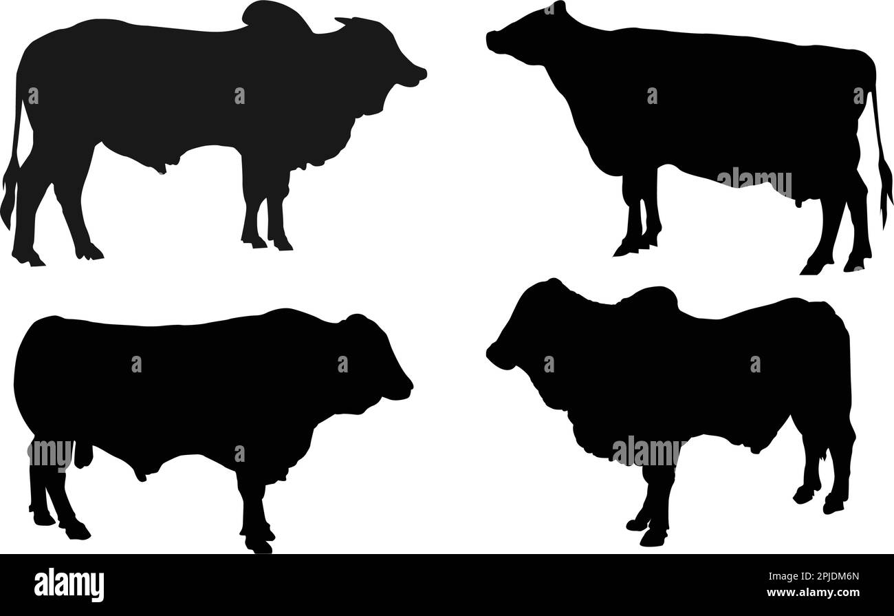 black cow logo vektor template Stock Vector Image & Art - Alamy