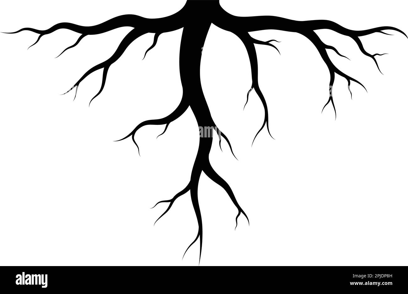 Root vector illustration template design Stock Vector