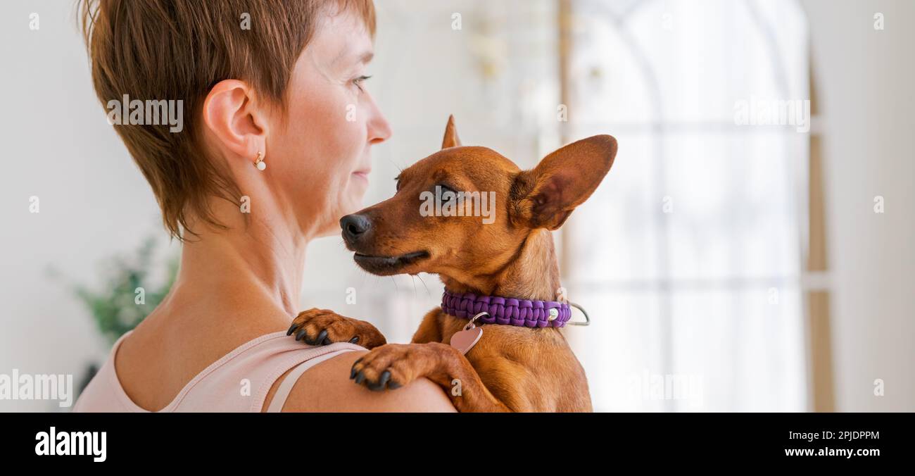 Image showcasing Woman hugs cute little dog lying in her arms at home. Close-up. Trust ...