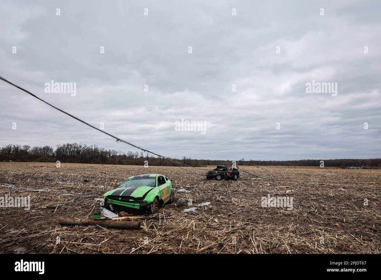 Sullivan, United States. 01st Apr, 2023. A Mustang rests in a corn